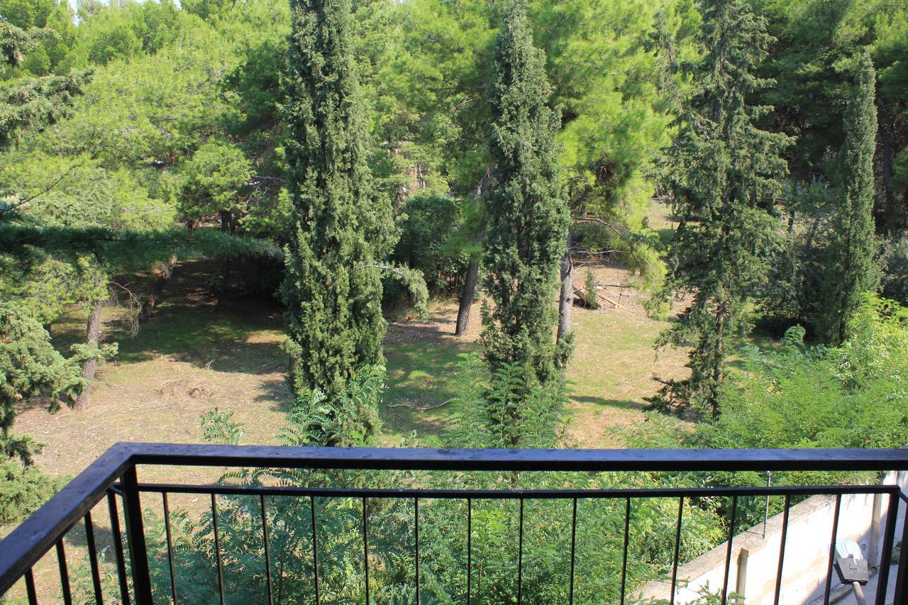 B&B Il Giardino In Citta - Parcheggio Privato Gratuito Foggia Eksteriør bilde